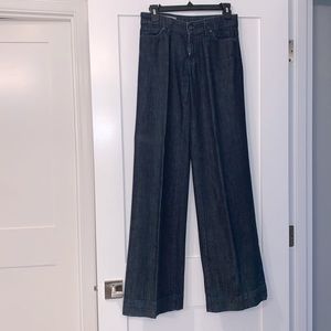Citizens of Humanity denim palazzo pants. Size 26.